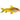 Gold Laser Corydoras, Pet City, Pet City, Laser Cory Fish