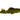 Gold Nugget Pleco, Pleco Catfish sale online, Pet City