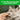 Greenies Catnip Dental Cat Treats, Vet recommended, Pet City