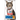 Hills Science Diet Adult Oral Care Dry Cat Food 2kg - Cat Dry Food - Pet City Online - Pet City Napier - Hollywood Fish Auckland - Pet City Hastings - Pet City Porirua - pet stock Hastings - Animates Napier - Happy Animals Taradale - Pet Store Napier - Fishly - Pet City New Plymouth - Pet City NZ 
