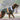 Huskimo Lighting Bolt Olive Dog Coat, Dog Wearing Huskimo dog coat, Pet City