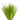 Hairgrass - Eleocharis Acicularis Live Plant, Pet City, Live aquatic plants