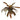 Horemanii Red Sword Live Aquatic Plant in a pot, Pet City