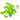 Cardamine Hydrocotyle Live Aquatic Plant Leucocephala), Live Plants, Aquatic Live Plants, Live Plants for fish tanks, Pet City