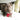 puppy playing with Kong Dental Stick, puppy on bed, Pet City