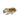 Keyhole Cichlid, South American Cichlid, Pet City, pet city