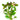 Ludwigia Aquatic Plant, Live Aquarium Plants, Ludwigia, Pet City