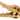 Crocodile Skull Medium Ornament, Aquarium skull ornament, Pet City napier, Pet City napier, kiwipetz tauranga