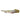 Peacock Eel, Pet City