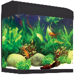Pet City AquaStyle 620 aquarium & parts website collection image