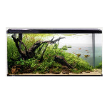 Pet City Aqua One LifeStyle 190 Tank Website collection image