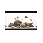 Pet City Aqua One LifeStyle 76 Tank Website collection image