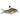 Pet City Cory Fish For Sale Website Collection Image