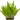 Pet City Java_Fern_Full_Mat_medium website collection image