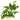 Pet City Live Plants Website Collection Image