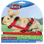 Harness & Leads