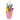 Pet City bird toy website collection icon