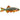 Pet City website Live Danio Fish for sale collection image