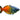 Pet City website Live Rainbow for sale collection image