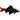 Pet City website Live Shark for sale collection image