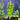 Lysimachia Live Aquatic Plant in  a planted aquarium, Pet City