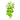 Lysimachia Live Aquatic Plant bunch, Pet City
