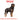 black rottweiler dog royal canin, Royal Canin Rottweiler Adult Dry Dog Food, Pet City 