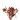 Aquatic Plant Ludwigia Red bunch, Pet City, Pet City hastings