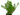 Red Pinetree (Rotala Wallichii) emersed grown, Pet City, live aquatic plants nz
