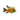 Red Hump Geophagus adult male, Pet City, buy fish online nz