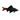 Red Tail Black Shark, Pet City, Pet City Hastings