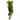 Reptile One Hanging Varigated Ivy Cascading Plant 72cm