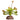 Reptile One Plant Mini Aenium Green with Ceramic Base
