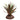 Reptile One Plant Mini Crassula Green Red With Ceramic Base, Reptile plants, Pet City