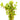 Rotala Macrandra Pink Live Aquatic Plant bunched with lead weight, Pet City