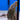 Royal Pleco L190 closeup
