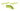 Trixie Snack-Snake 42cm, Pet City Napier, Pets Warehouse, Pet City, Pet City Porirua, snack snake toy for puppies