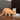 Petsafe Automatic 2 Meal Pet Feeder, Feeder for pets, Time feeder for pets, Hoilday feeder for pets, cat and dog auto feeder, Auto feeder for cats, Pet City