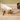 Petsafe Eatwell 5 Meal Pet Feeder, Auto feeder, Cat and Dog Feeder, Five Meal Feeder, Pet City Warheouse