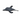 Tuffy Sea Creatures Dolphin, Pet City