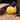 Yellow dog toy with 'BECO' branding between a black dog's paws on a textured surface
