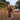 Dog running through a field with a toy in its mouth Beco Super Stick Dog Toy
