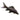 Shark Black Shark