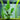 Borneo Sword Live Aquatic Plant in a fish tank, Pet City