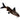 Synodontis Petricola, live fish for sale, Pet City