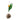 Trixie Coconut Hanging with Nesting Material, Coconut nesster, Pet Essentials Warehouse