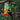 Topflite Wild Bird Nectar Feeder, Tui using nectar feeder, Pet City