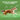Ziwi Beef Wet Dog Food, Ziwi peak, New Zealand Made, all life stage dog food, Beef dog food, can dog food, Pet City, Peakprey Recipes, Grainfree dog food, Poster