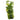 Reptile One Plant Philodendron Selloum 40cm, Pet City