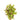 Water Rose Alternanthera Live Aquatic Plant bunch, Pet City